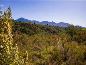 1569 m² Land available in Welgelegen Estate