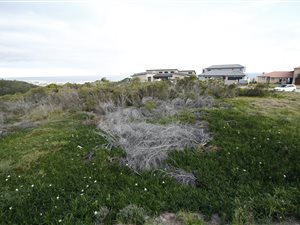 812 m² Land available in Outeniqua Strand
