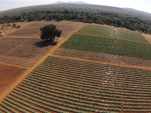 510 ha Farm in Musina
