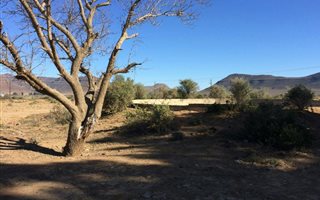1.1 ha Land available in Murraysburg