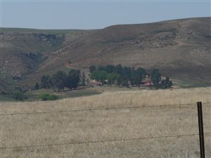 3594 ha Farm in Memel