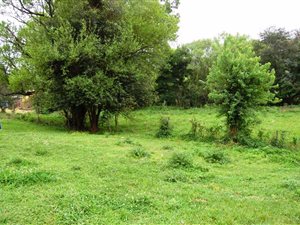2023 m² Land available in Byrne Valley