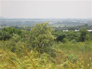 905 m² Land available in Seasons Lifestyle Estate