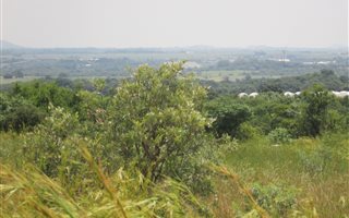 905 m² Land available in Seasons Lifestyle Estate