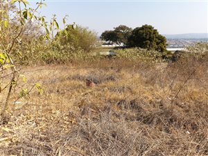 750 m² Land available in Faerie Glen