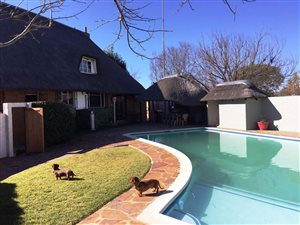 4 Bedroom House in Clocolan