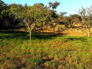 1007 m² Land available in Nelspruit Central