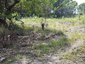1685 m² Land available in Hibberdene