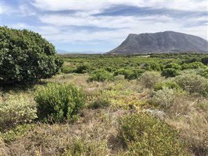 997 m² Land available in Klipfonteyn