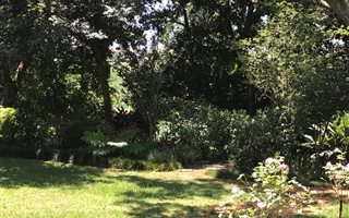 1 Bedroom Apartment in Pietermaritzburg Central