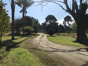 4 ha Farm in Wilderness