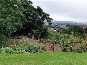 986 m² Land available in Warrenton