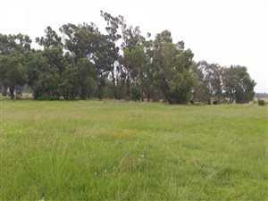 4754 ha Land available in Robin Park