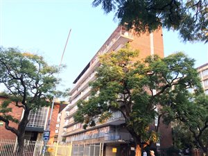 1 Bed Flat in Sunnyside