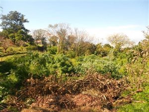 2247 m² Land available in Westville
