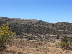 14 ha Land available in Meyerton