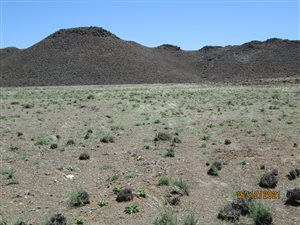 1567 ha Farm in Calvinia