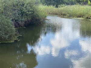 4 ha Land available in Mooiplaats AH