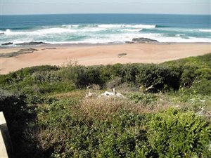 1146 m² Land available in Tinley Manor and surrounds
