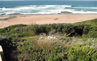1146 m² Land available in Tinley Manor and surrounds
