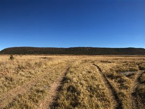 206 ha Farm in Alma