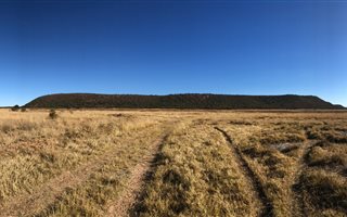 206 ha Farm in Alma