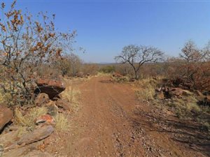 111000 ha Land available in Lephalale (Ellisras)