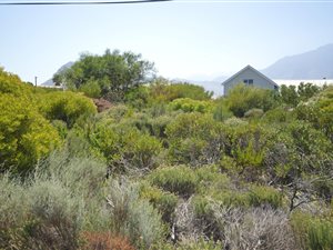 600 m² Land available in Pringle Bay