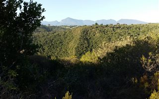 1143 m² Land available in Ballots Bay