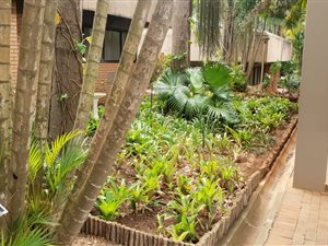 309 m² Office Space in Empangeni Central