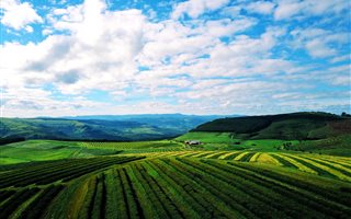 60 ha Farm in Hilton