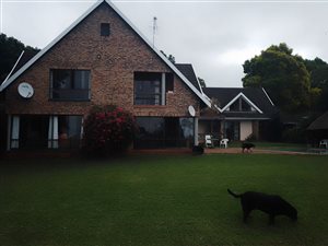 5 Bed House in Kloof