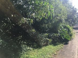 4149 m² Land available in Ramsgate