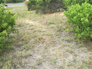 387 m² Land available in Tergniet