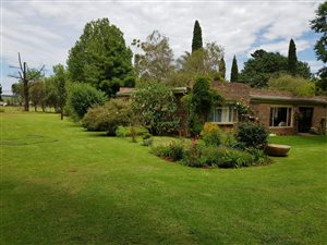 4 ha Farm in Bashewa