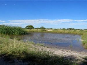 537 ha Farm in Mookgophong (Naboomspruit)