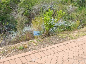 1535 m² Land available in Schoongezicht