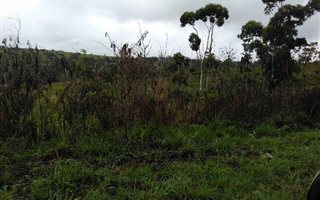15.4 ha Land available in Verulam