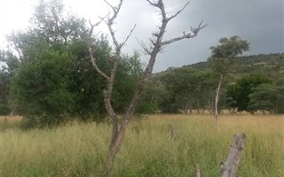 35 ha Farm in Skeerpoort