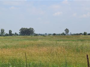 2.2 ha Farm in Wilgeboom AH