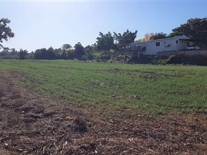 3 Bed House in Heidelberg