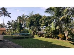 7 Bedroom House in Dawnside