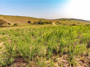 1325 m² Land available in Seaton Estate