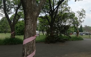 731 m² Land available in Cullinan