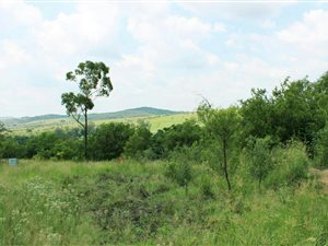 3216 m² Land available in Lanseria and surrounds