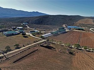 2070 ha Farm in George Rural