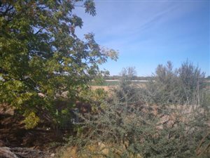 1335 m² Land available in Upington