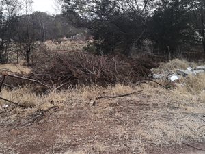 991 m² Land available in Ohenimuri