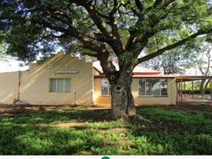 14.3 ha Farm in Elandspark