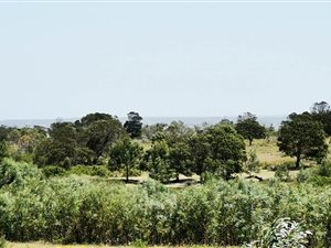 10.4 ha Smallholding in Jeffreys Bay